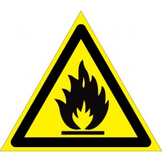 W01. Пожароопасно. Легковоспламеняющиеся вещества